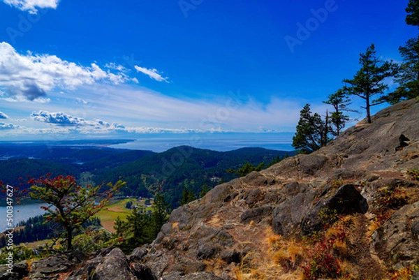 Obraz landscape in the mountains