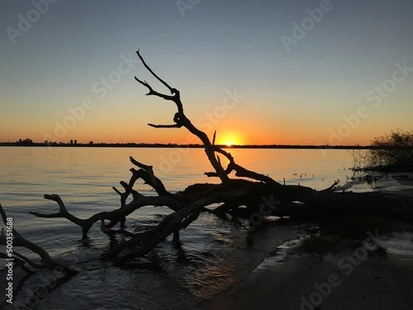 Obraz sunset on the river