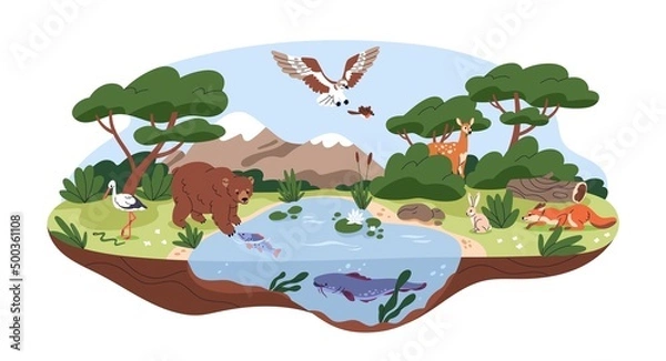 Fototapeta Ecosystem, biodiversity concept. Different forest habitats, carnivore animals, birds in wild environment, nature. Wildlife, fauna diversity. Flat vector illustration isolated on white background