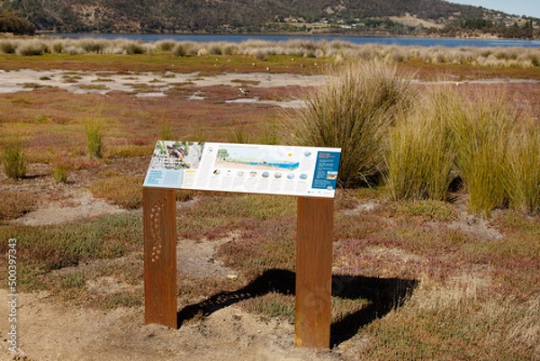 Fototapeta Interpretative sign along a walking track with information about the Old Beach Saltmarsh
