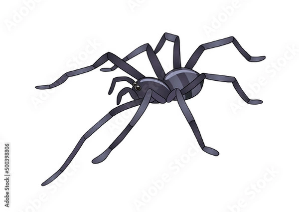 Obraz spider clipart