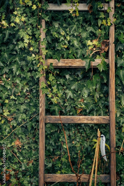 Fototapeta OLYMPUS DIGITAL CAMERA