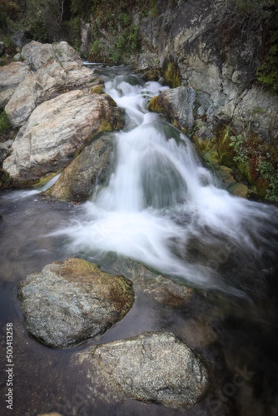 Obraz waterfall in the forest