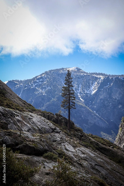 Obraz landscape in the mountains