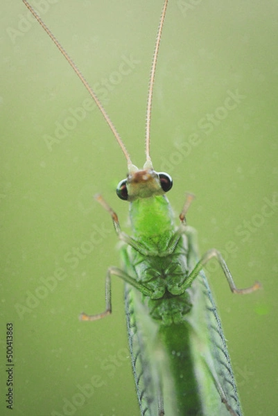 Fototapeta OLYMPUS DIGITAL CAMERA