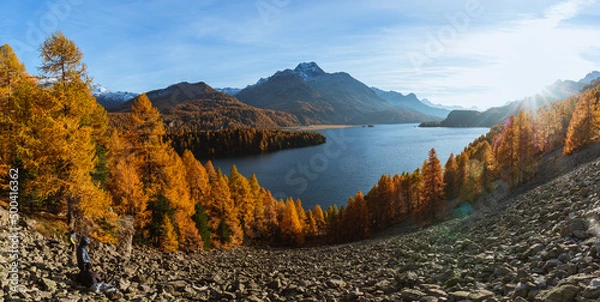 Fototapeta Lake sils in autumn colors: one of the most beautiful alpine lakes in switzerland, near the village of Sils Maria, Engadine, Switzerland - October 2021.