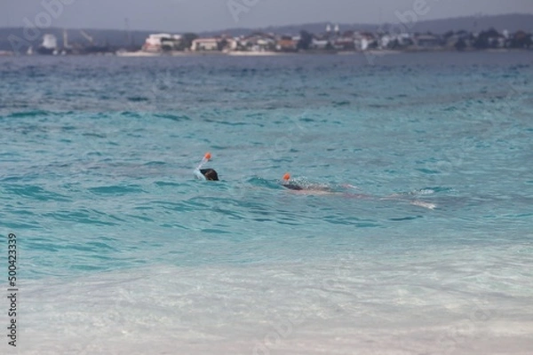 Obraz Zanzibar person snorkeling in the sea