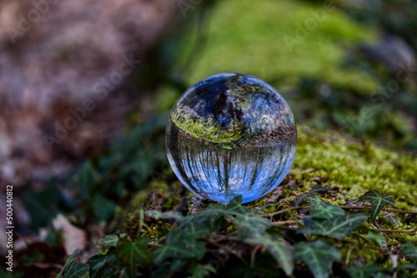 Obraz Glaskugel mit Wald im Moos