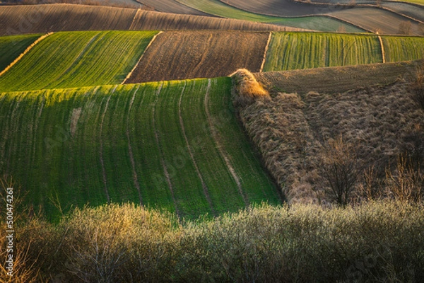 Obraz Wiosna na Ponidziu 