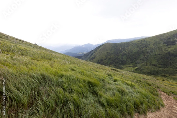 Fototapeta Panorama of mountains in the Ukrainian Carpathians on a summer day.
