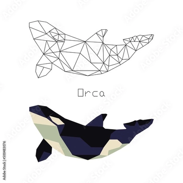 Fototapeta Polygonal drawing of killer whale