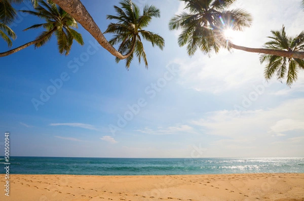 Obraz Tropical beach