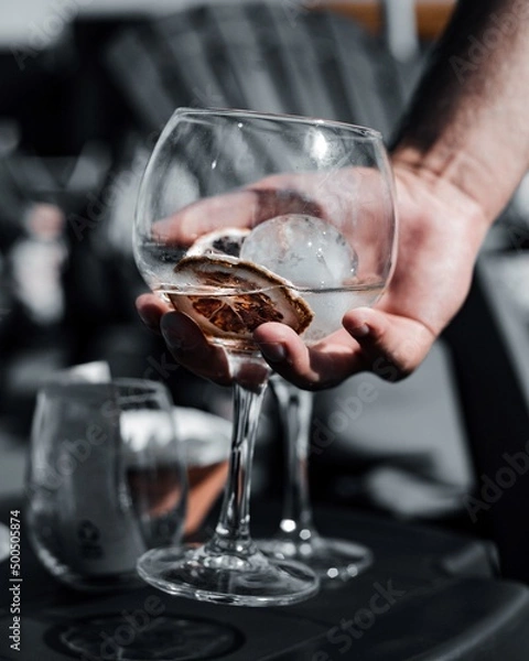 Obraz Pessoa a pegar num copo com gin tónico