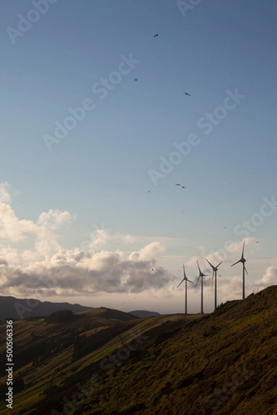 Obraz Serra do Cume, ilha Terceira