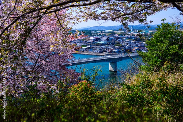 Obraz 桜の木の間から見るなみかけ大橋の風景