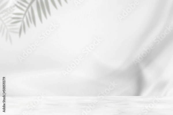 Obraz .葉の影と白のボタニカルなドレープ背景