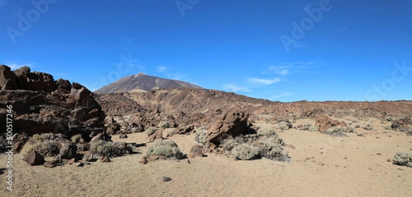 Fototapeta Panoramic view of the rock filled landscape with the summit of El Teide in the background 