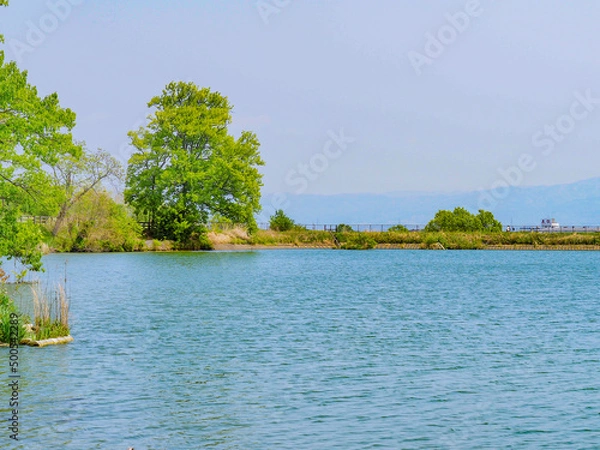 Fototapeta 水辺の風景