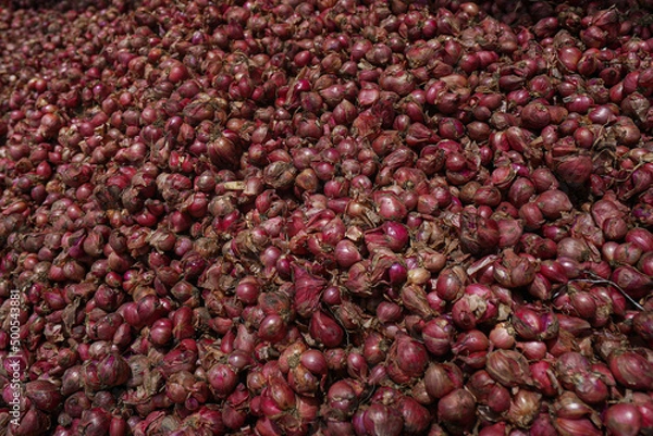 Obraz Pile of shallot in the market