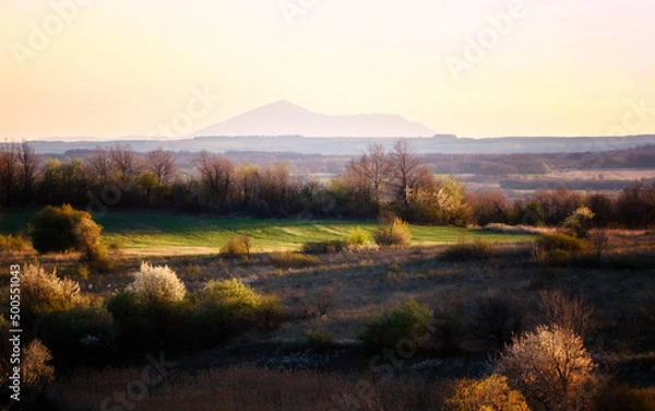 Fototapeta spring fields mountain
