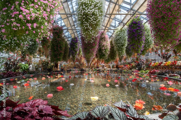 Obraz なばなの里　ベゴニアガーデン