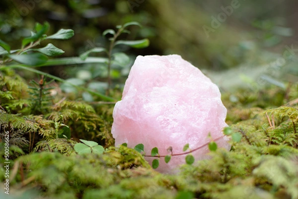 Fototapeta Rose quartz crystal or raw gemstone minerals on a forest floor with lush greenery. 