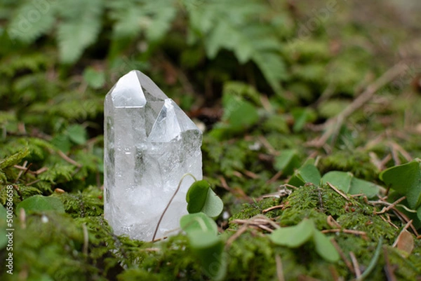 Fototapeta Clear quartz crystal or raw gemstone mineral on a forest floor with lush greenery. 