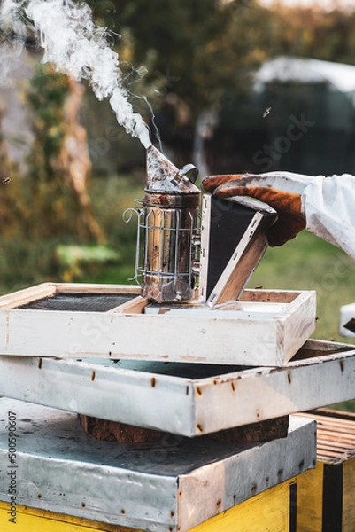 Obraz beekeeping