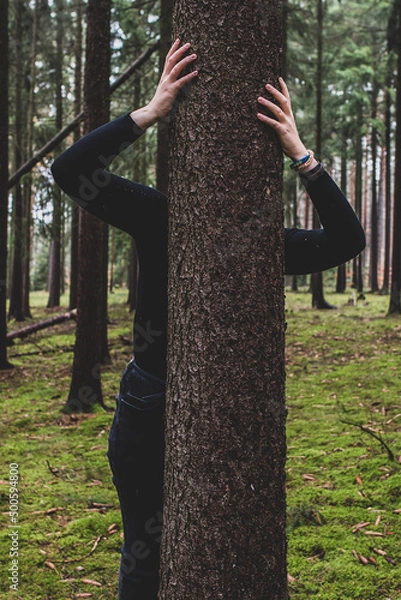 Obraz hug to the tree