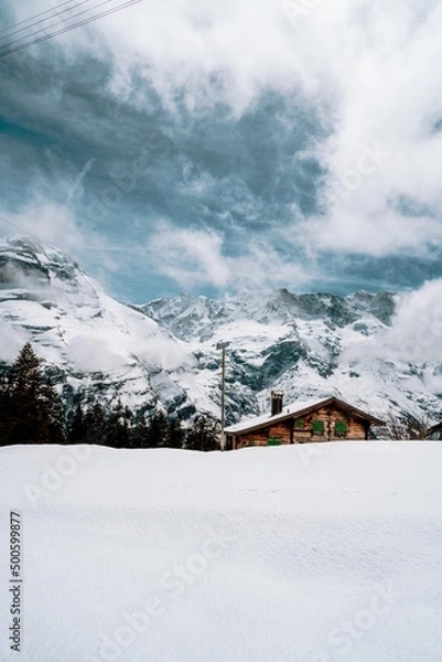 Obraz house mountain snow