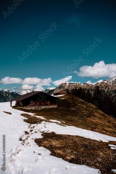 Obraz house mountain