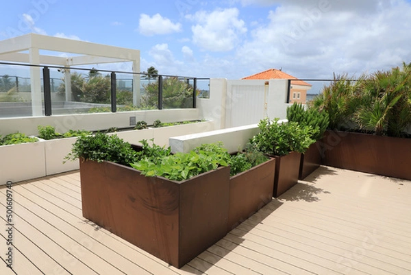 Obraz A home garden using planters on an outdoor raised terrace at a condo, with vegetables and herbs.