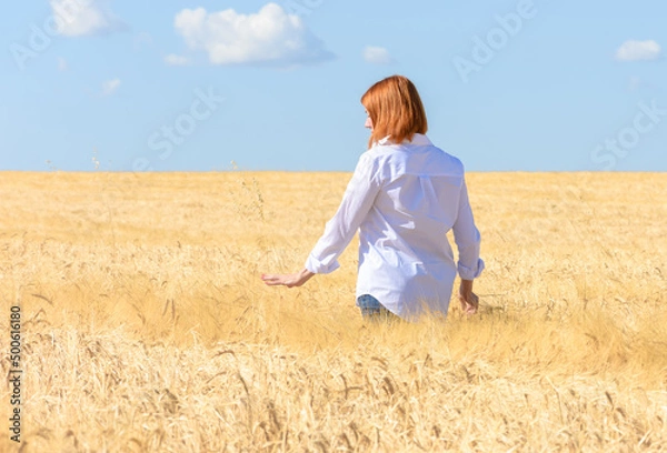 Obraz A young woman in a white shirt walks through a wheat field. Wheat field, woman walking.