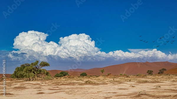 Obraz Sossusvlei