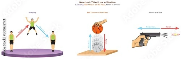 Fototapeta Newton Third Law of Motion Infographic Diagram showing action reaction force direction example jumping ball thrown on the floor recoil of a gun for physics science education poster vector