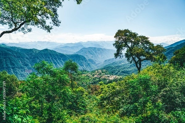 Obraz Paseo en selva