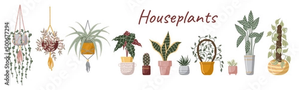 Fototapeta Set hand drawn vector isolated elements. Houseplant. A flower in a pot. Indoor plants. Home gardening. Color image on a white background..