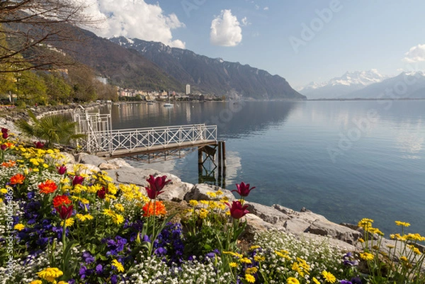 Obraz Bord de lac à Montreux. Fleurs au printemps sur la rivieira