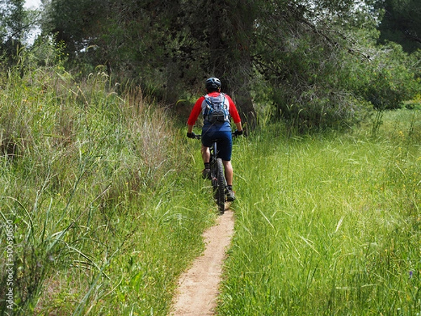 Obraz Cyclist on the Israeli single track