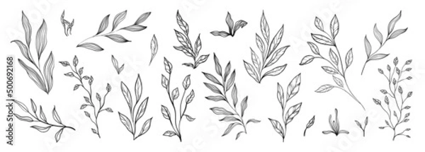 Obraz Set of branch and leaves collection. Floral hand drawn vintage set. Sketch line art illustration. Element design for greeting cards and invitations of the wedding, birthday
