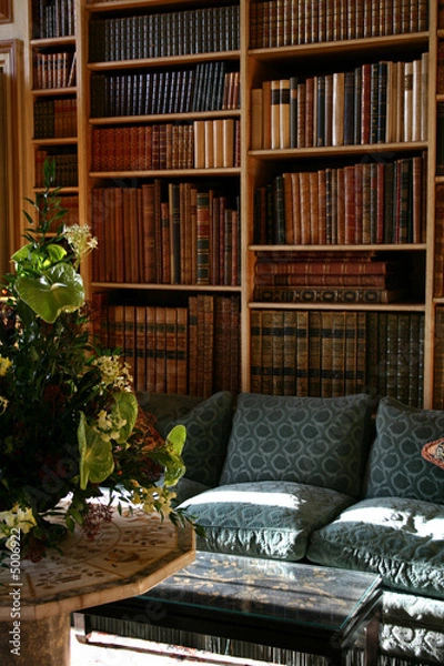 Obraz private library shelves with books
