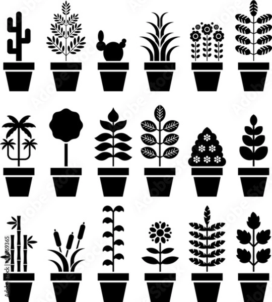 Obraz Set of vectorized plants in a pot