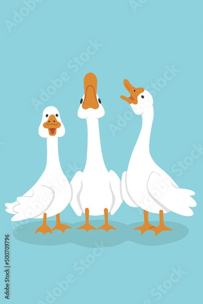 Obraz Vector illustration. White geese portrait on a blue background. Three geese stand side by side and honking. Bright print for design, decoration, postcards, posters and more.