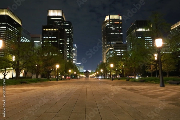 Obraz 丸の内駅前広場・行幸通りと東京駅の夜景