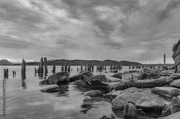 Obraz Monochrome Uferlandschaft am See