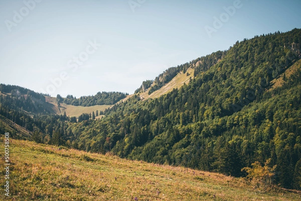 Obraz View of the mountains in the summer