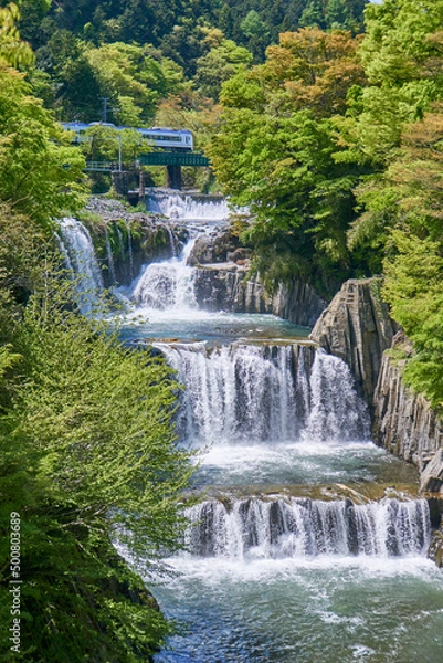 Fototapeta 田原の滝の上を行く富士急行線　田原の滝