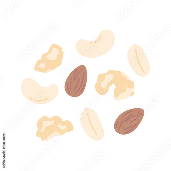 Obraz ミックスナッツのイラスト