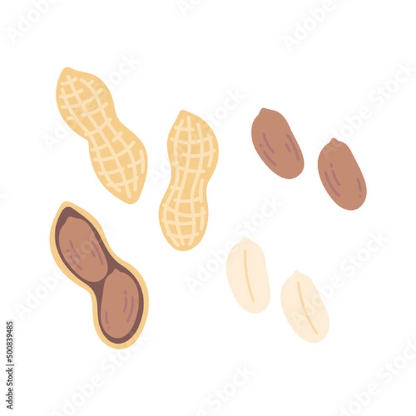 Obraz ピーナッツのセット