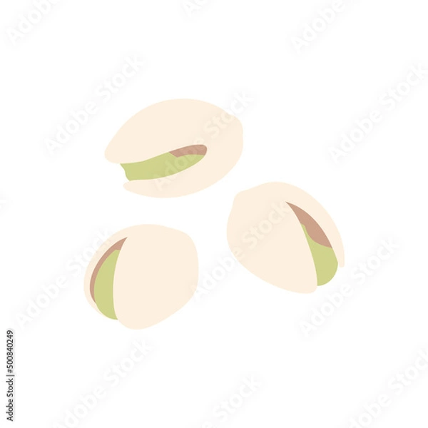 Obraz ピスタチオのイラスト